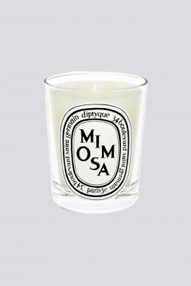 Mimosa candle 190g