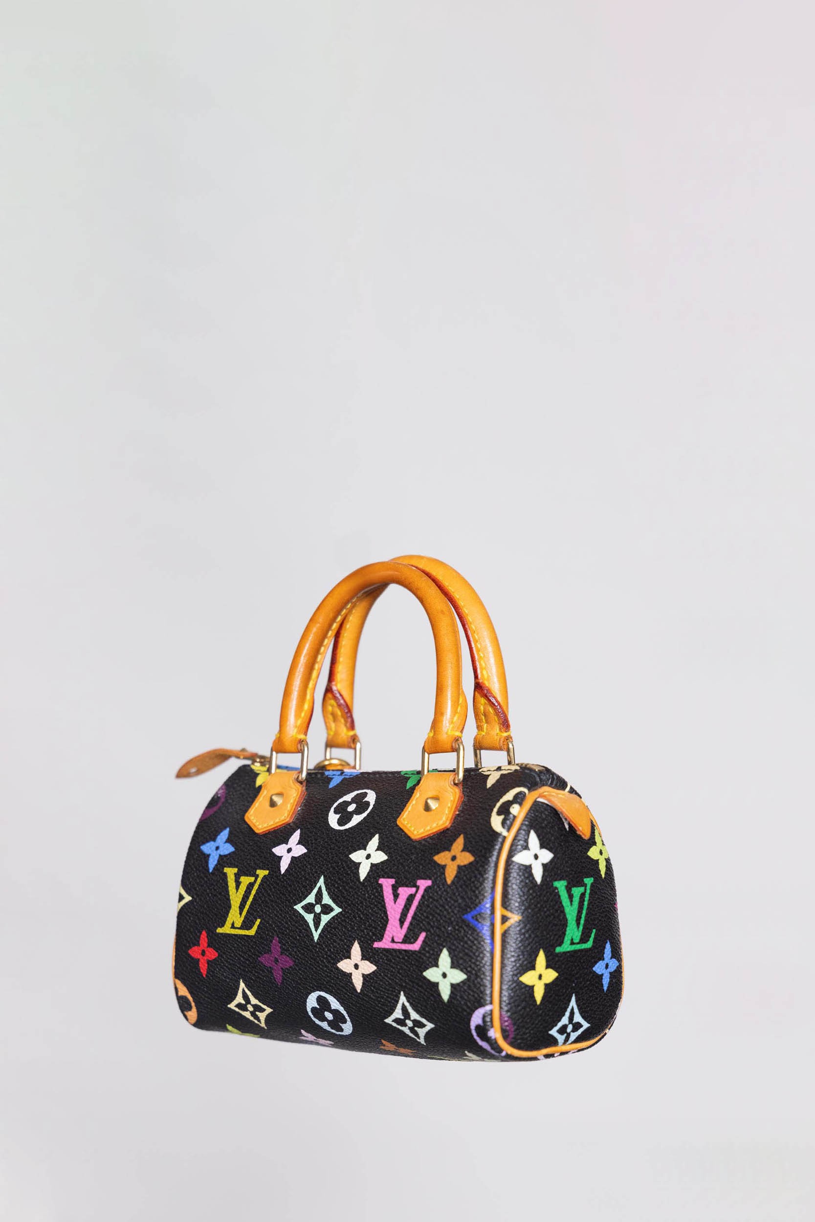 Nano speedy / mini hl cloth mini bag Louis Vuitton Multicolour in