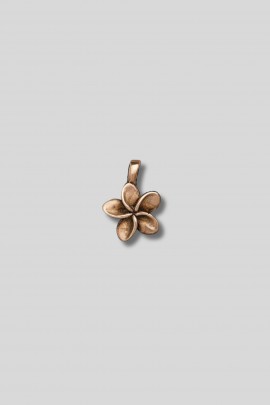 Charm Plumeria en bronze