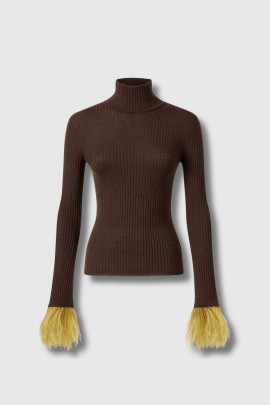 Pull à col roulé marron avec plumes